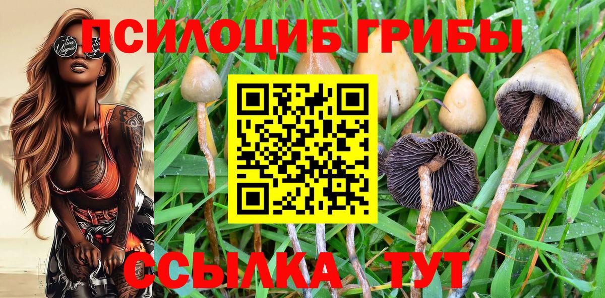 Псилоцибиновые грибы мицелий Кизилюрт